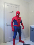 Picture of Spider-Man Brand New Day Cosplay 