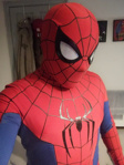 Picture of Spider-Man Brand New Day Cosplay 