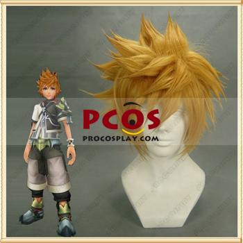 Изображение Kingdom Hearts Sora, парик для косплея, интернет-магазин mp000556