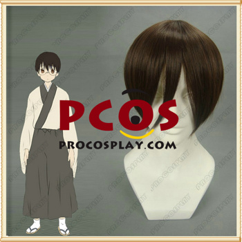 Cosplay wig for GINTAMA Shimura Shinpachi 