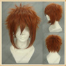 Picture of Yu Gi Oh! GX Jaden Yuki Cosplay Wig mp002171