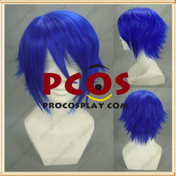 Picture of Vocaloid Kaito cosplay wig for sale mp002455