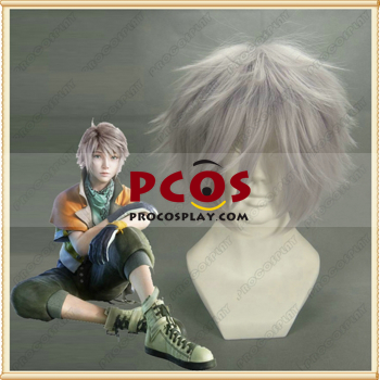 Picture of Final Fantasy XIII Hope Estheim Cosplay Wig mp003203