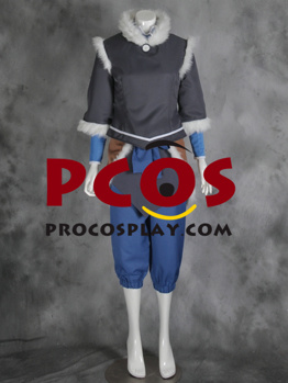 Picture of The Legend of Korra Avatar Korra Cosplay Costume mp000411