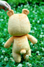 Picture of Minami-ke Chiaki Minami Bear Cosplay Plush Doll
