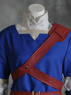 Picture of The Legend of Zelda Link Blue Cosplay Costume mp000410