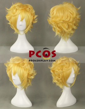 Picture of KARNEVAL Yogi Cosplay Wig Online Sale mp004217