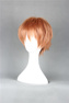 Picture of Dangan Ronpa Naegi Makoto Cosplay Wigs mp003224