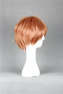 Picture of Dangan Ronpa Naegi Makoto Cosplay Wigs mp003224