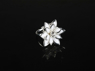 Picture of Final Fantasy Yuna Ring Cosplay mp003679