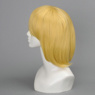 Picture of Shingeki no Kyojin Armin  Arlart Cosplay Wig mp000725