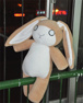 Picture of Neko Gami Yaoyorozu Shamo Rabbit Cosplay Plush Doll