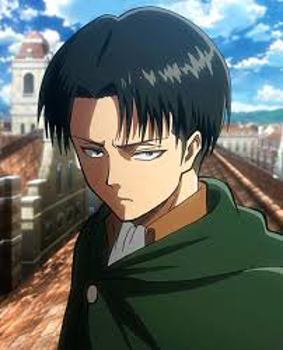 Picture for category Levi Rivaille
