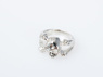 Picture of One Piece Rings of Skull and Flag 10 Sets for Cosplay 
