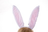 Image de Meilleur Touhou Projet Cosplay Oreilles De Lapin mp003150