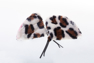 Picture of Moe Culture Leopard Print Cat Ear Cosplay Headpiece 