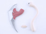 Image de Nouveau Parasyte Izumi shinichi Parasite Migi Cosplay Set mp002135