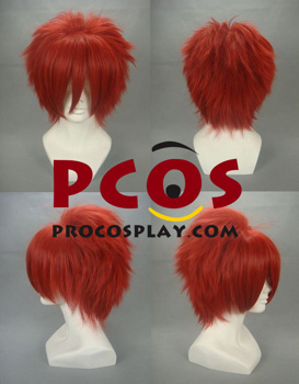 Picture of The Prince of Tennis Kintarou Tooyama Cosplay Wigs 108A