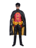 Picture of Young Justice The Boy Wonder Robin Cosplay Costume mp002517