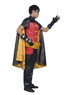 Picture of Young Justice The Boy Wonder Robin Cosplay Costume mp002517