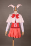 Picture of Inu x Boku SS Ririchiyo Shirakiin Cosplay Costume mp002751