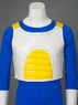 Picture of Dragon Ball Vegeta Cosplay Costumes Online mp000089