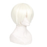 Picture of VOCALOID 3 Yan He Cosplay Wig 411C