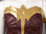 Picture of Wonder Woman Diana Prince Cosplay Costume mp003361