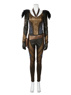 Picture of Green Arrow Season 4 Hawkgirl Cosplay Costume mp003444