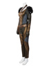 Picture of Green Arrow Season 4 Hawkgirl Cosplay Costume mp003444