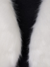 Bild von 101 Dalmatiner Cruella de Vil Cosplay Coat mp003151