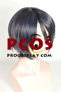 Picture of Final Fantasy XV Noctis Lucis Caelum Cosplay Wig mp003675