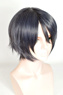 Picture of Final Fantasy XV Noctis Lucis Caelum Cosplay Wig mp003675