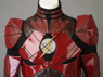 Bild von Justice League Film Das Flash Cosplay Kostüm mp003656