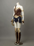 Picture of New Diana Prince Cosplay Costume mp003710