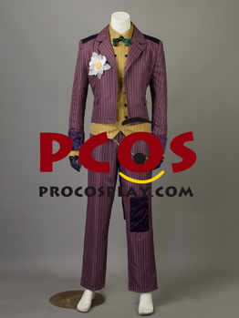 Picture of Arkham Asylum Joker Cosplay Costume mp003438