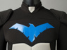 Picture of Young Justice (TV series) Nightwing Dick Grayson Cosplay Costume mp003836