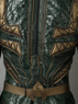 Picture of Justice League Film Arthur Curry Cosplay Costume mp003660