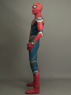 Picture of Infinity War Spider-Man Peter Parker Cosplay Costume mp004017