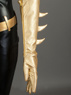 Immagine del costume cosplay Batg1rl mp003603