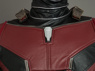 Image de Ant-Man et la guêpe Scott Edward Harris Lang Costume de cosplay mp003983