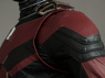 Image de Ant-Man et la guêpe Scott Edward Harris Lang Costume de cosplay mp003983