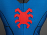 Immagine di Pronto per la spedizione Homecoming Peter Parker Cosplay Costume mp003747