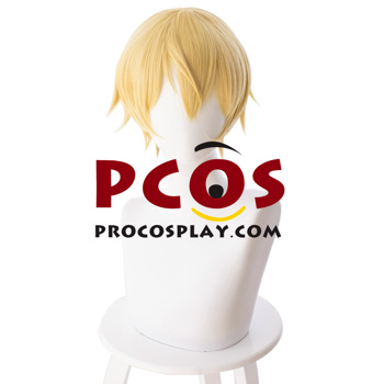 Picture of Sword Art Online S3 Eugeo Cosplay Wigs mp004915