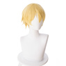 Picture of Sword Art Online S3 Eugeo Cosplay Wigs mp004915