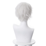 Immagine di The Promised Neverland Norman Cosplay Wigs mp004931