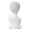 Picture of The Promised Neverland Norman Cosplay Wigs mp004931