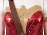 Picture of Wonder Woman 1984 Diana Prince Cosplay Costume mp005125