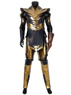 Picture of Endgame Thanos Cosplay Costume mp005138