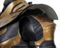 Picture of Endgame Thanos Cosplay Costume mp005138